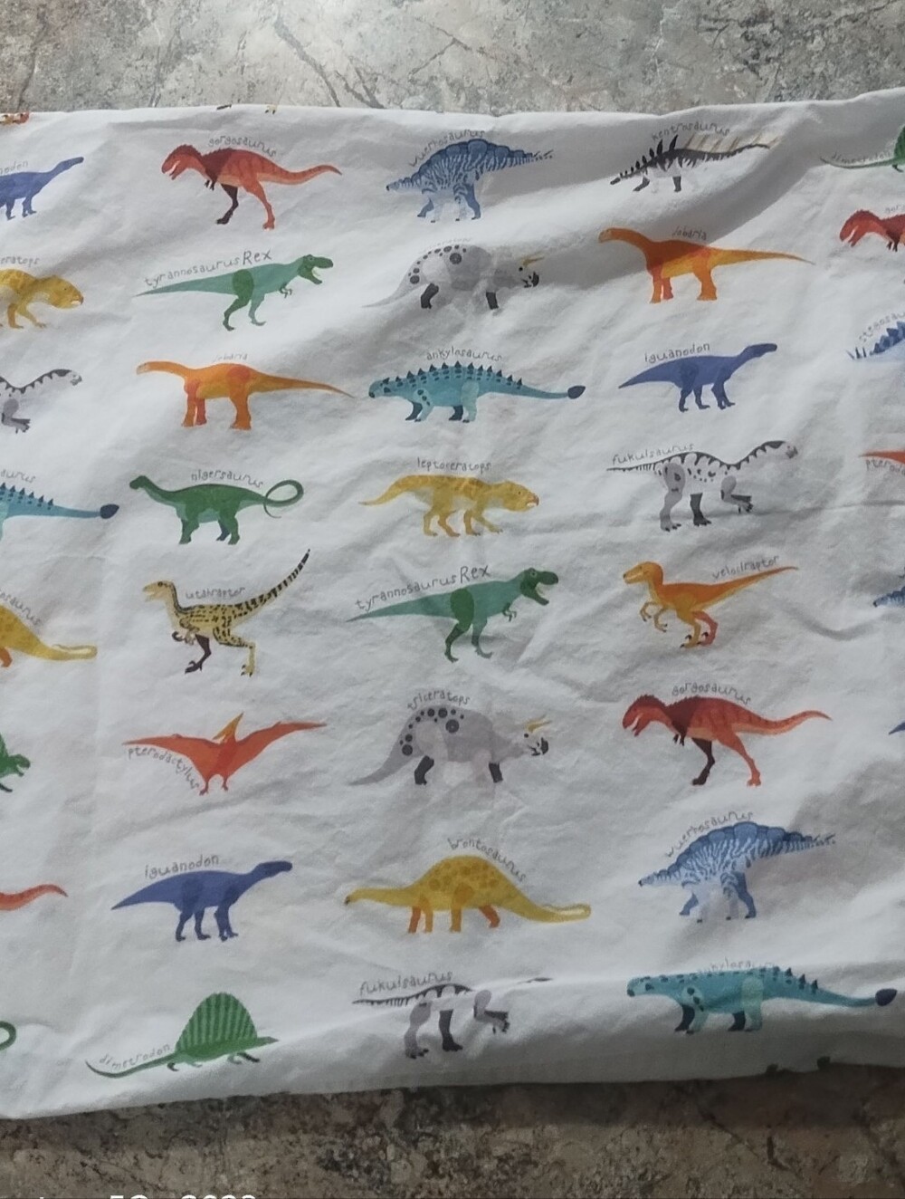 Pottery Barn Finn Dinosaur Standard Pillowcase Organic Cotton Dino